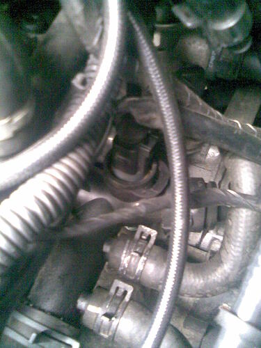 Bild006.jpg