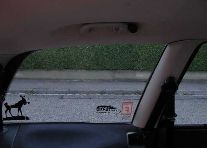 IMG_5355_gerade_800x574.jpg