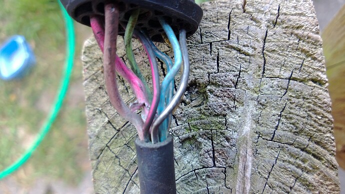 WP_20130614_008.jpg