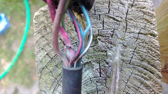 WP_20130614_007.jpg
