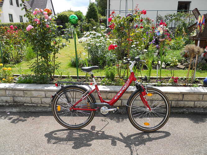 DSCN7188-0.JPG