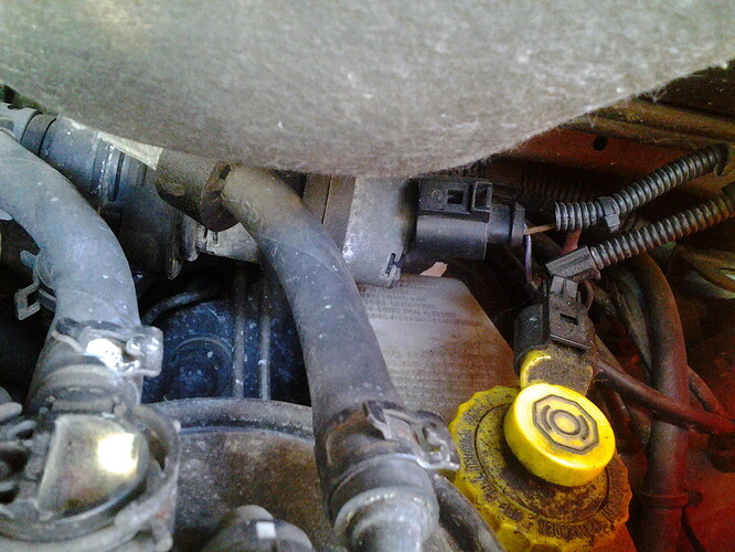 2013-09-06 11.09.24_1.jpg