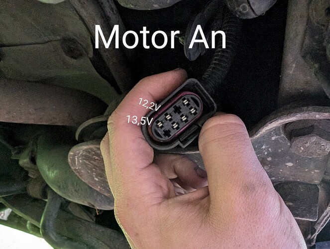 PXL_20241028_144113259.MP~7