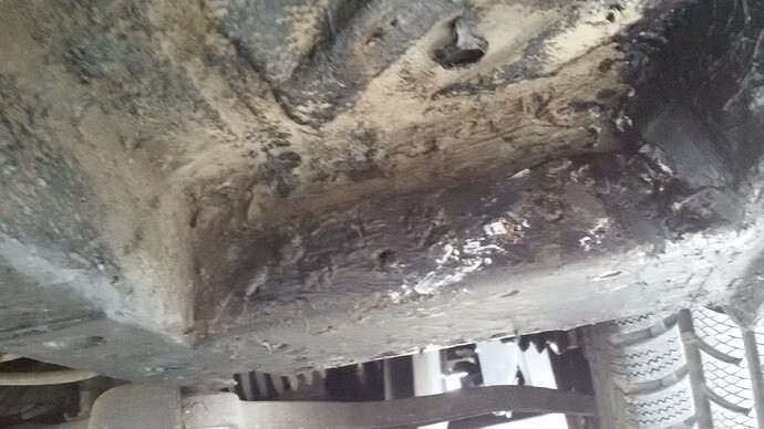 20190521_154335_1.jpg