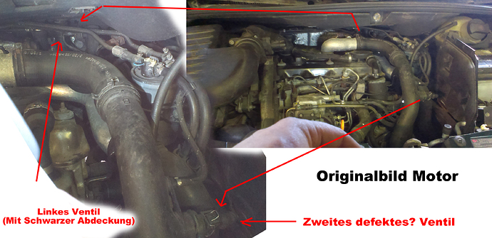 Motor1.jpg