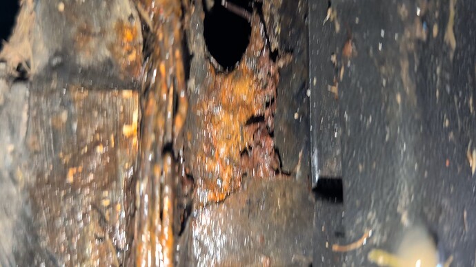 PXL_20260213_081229715_exported_73562