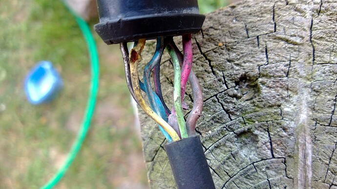 WP_20130614_009.jpg