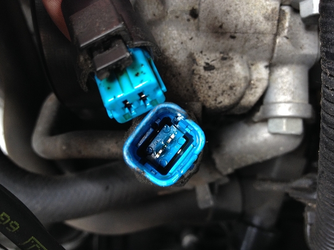 Blauer Stecker Detail.JPG