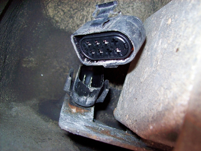 20110319-134700-100_2943_tn.jpg