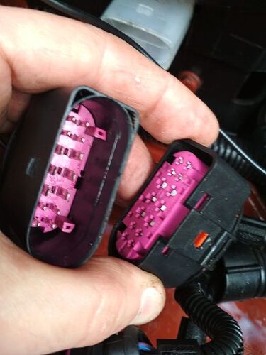 337304928_884700656093021_1771729820365997898_n