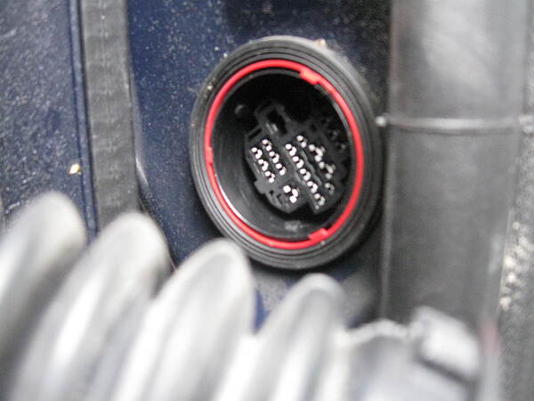 Türkabel Buchse B-Säule links buchse-b-säule-links.jpeg