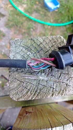 WP_20130614_005.jpg