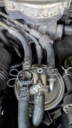 PXL_20260117_143608678