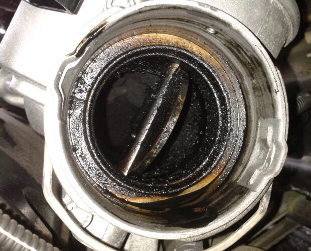 AGR 2 MLOX400 agr2.jpg