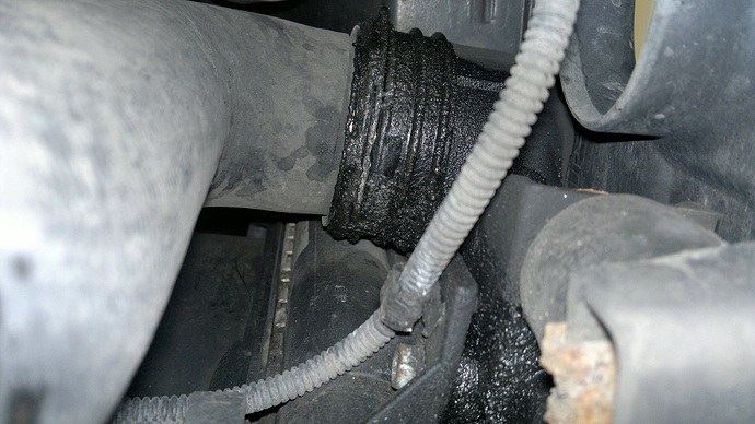 2012-08-18-314.jpg