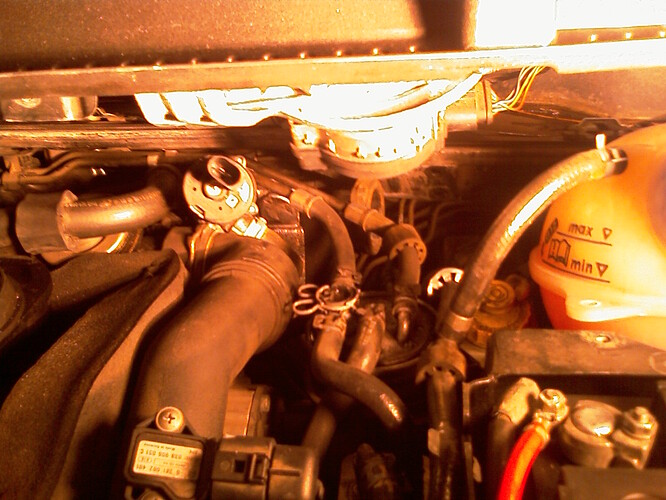 IMAG0427.jpg