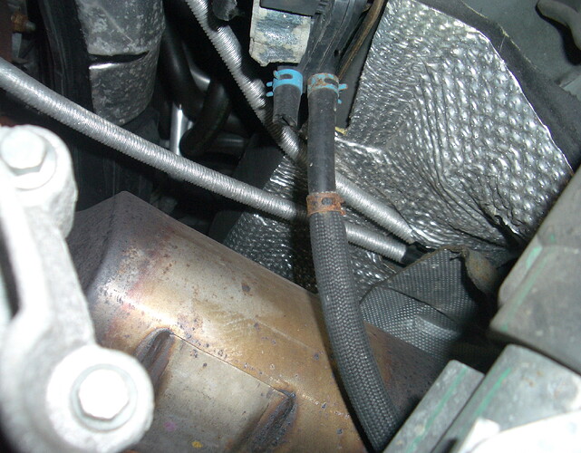 IMGP3755 - Kopie.JPG