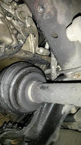20140925_113317.JPG