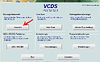 VCDS1.JPG