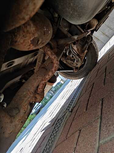 WhatsApp Image 2022-07-03 at 09.08.27