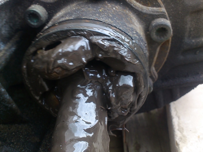 DSC_1926.jpg