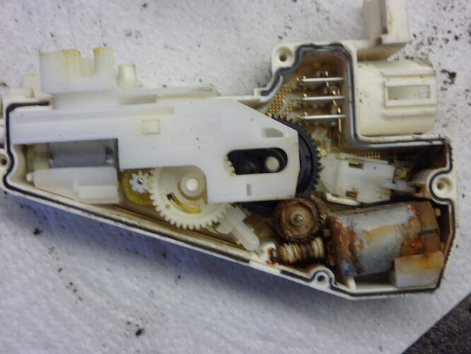 P1020135-1_0.jpg
