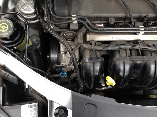 Blauer Stecker.JPG