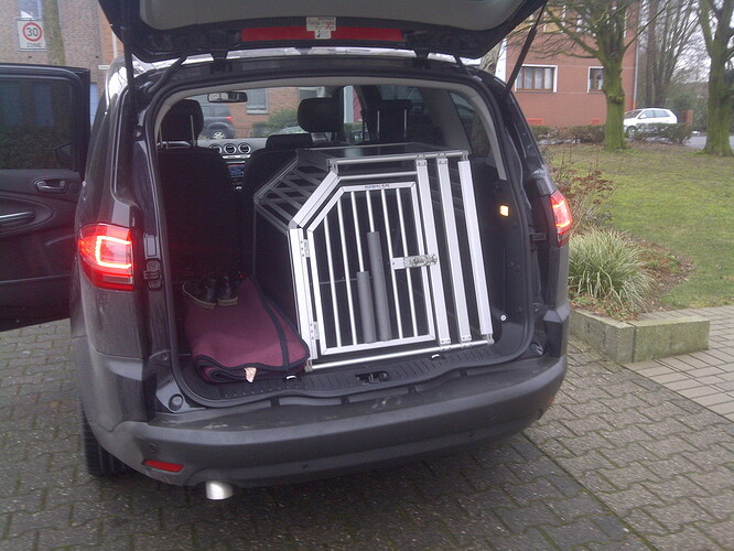 Hundebox S-Max.jpg