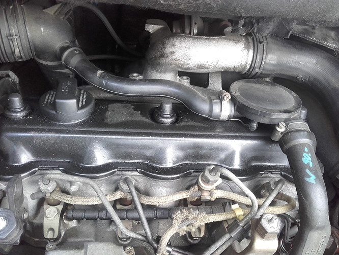 20170312_114755_0.jpg