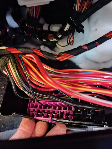 IMG_20230811_1434281