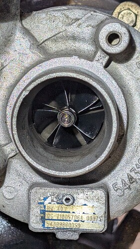 PXL_20250228_145622403