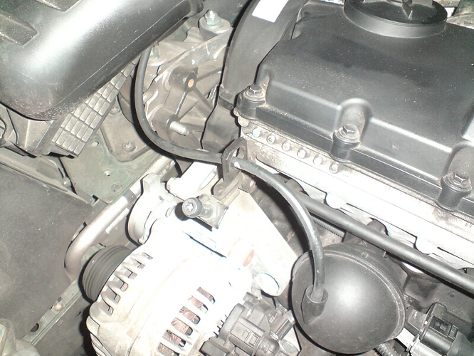 DSC01062_1.JPG