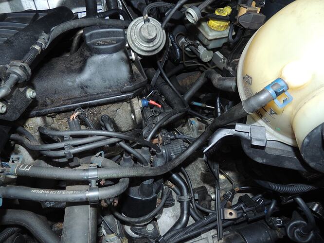 auto 013.JPG