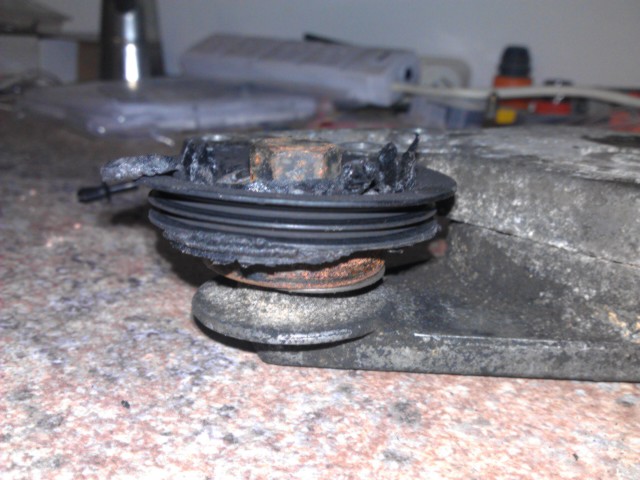 IMAG0462_0.jpg