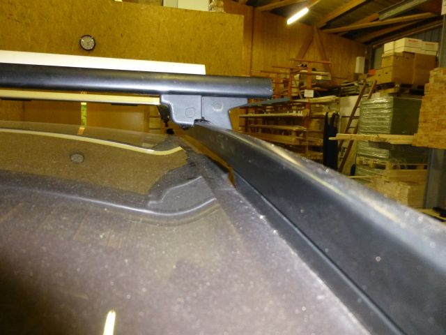 P1010056-1.jpg