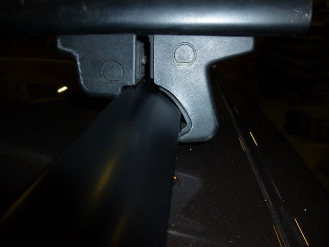 P1010052-1.jpg