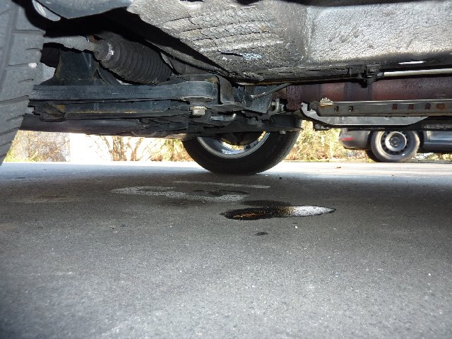 P1030639_640x480.JPG