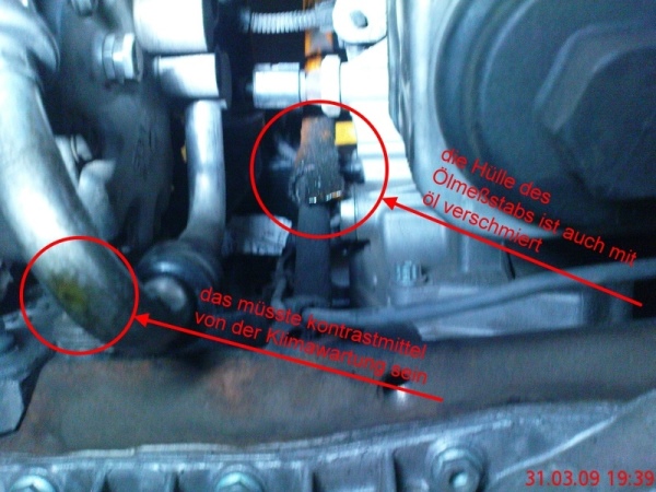 450fc3f1daa3f99183abca95dbf7f2a9.jpg