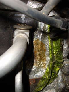 810ff7fb438a00549898002d0e5a962e.jpg