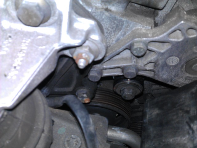 IMAG0456_0.jpg