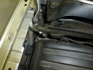 P1030501_0.JPG