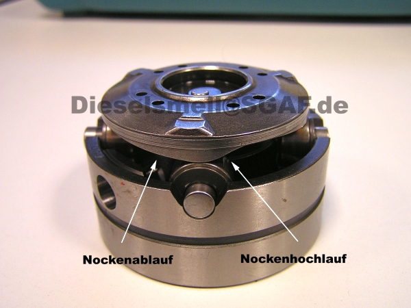 Nocke 0a85ec853a6815c9092209642cbefd35.jpg