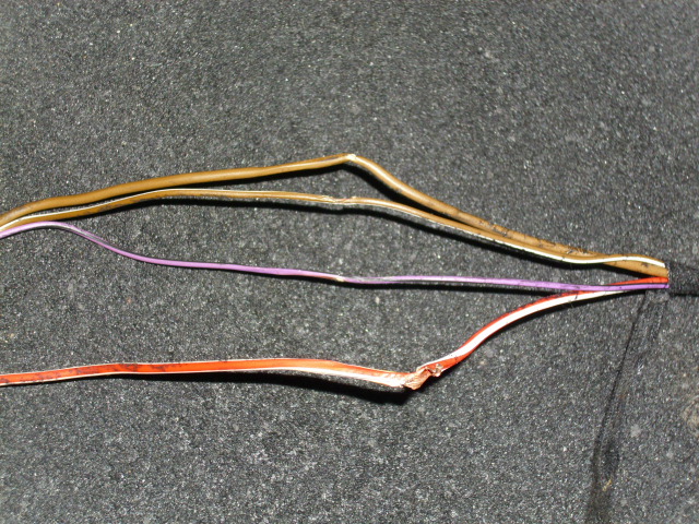 DSCI0898.JPG
