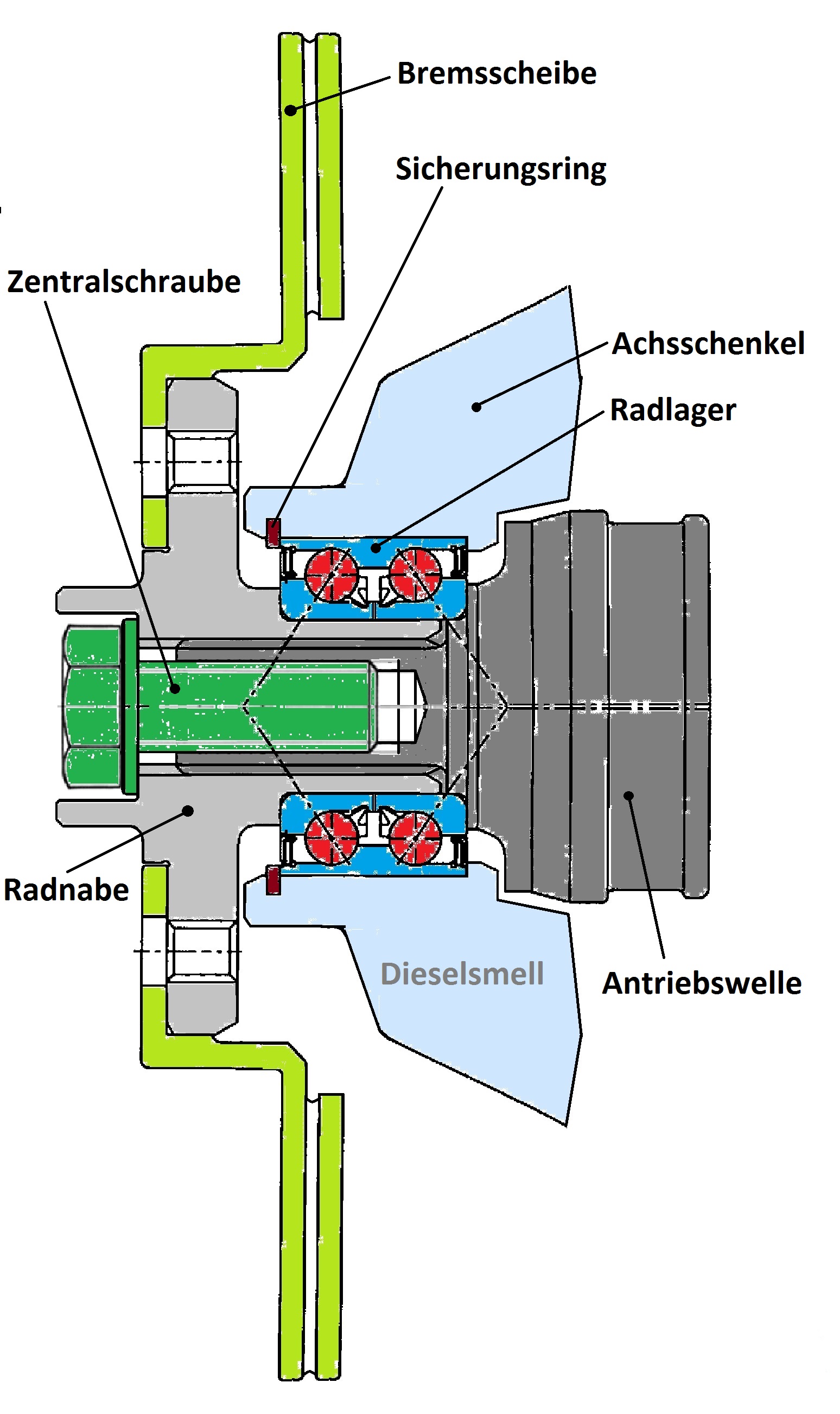 Radlager vorne innen