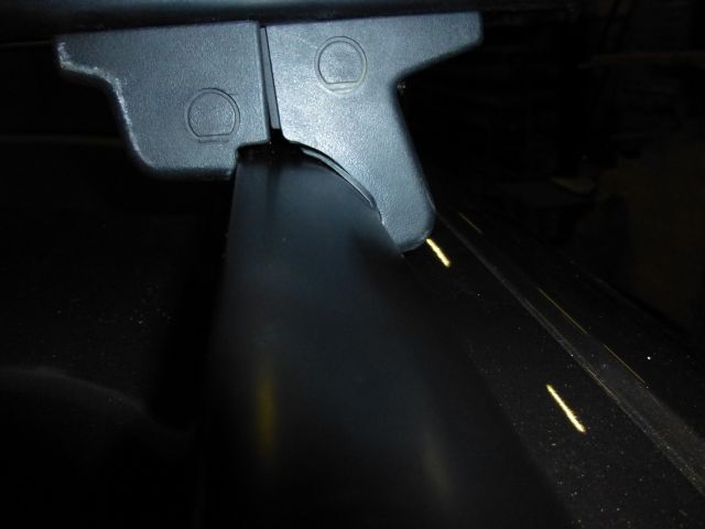 P1010058-1.jpg