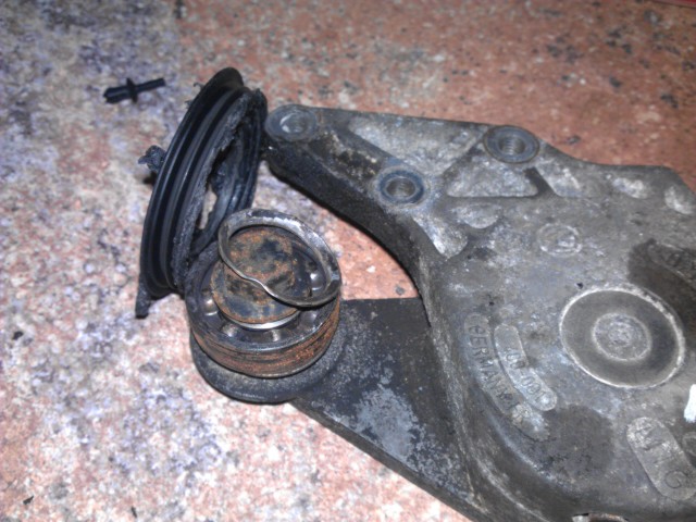 IMAG0461.jpg
